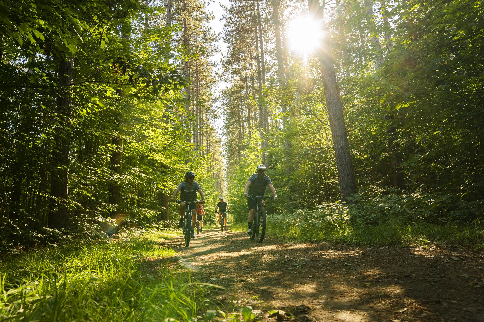 Keep an eye out for centuries-old red pine trees while pedaling in the Hiawatha Highlands. Credit: Destination Ontario