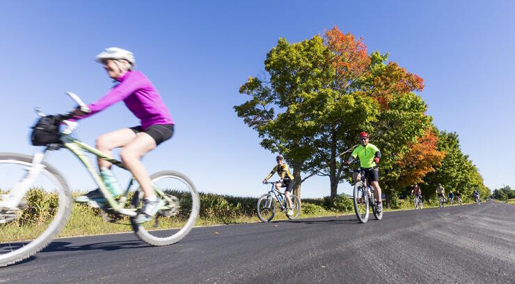 A group of cyclists in shorts riding on paved road 